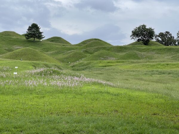 Bullodong Ancient Tombs Park — photo 1