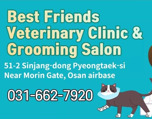 Best Friends Vet And Grooming — photo 1