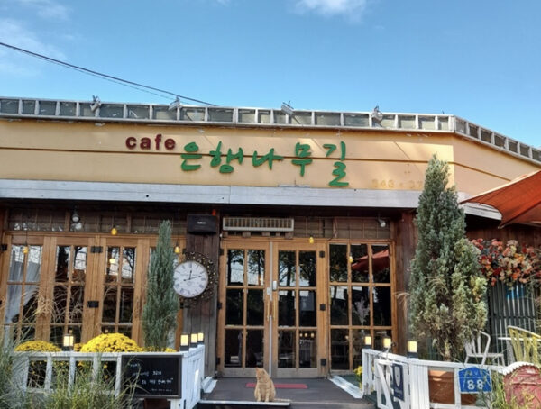 Gingko Road Cafe — photo 1