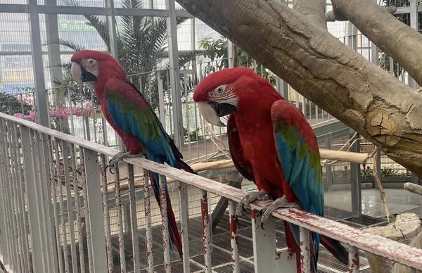Osan Bird Park — photo 1
