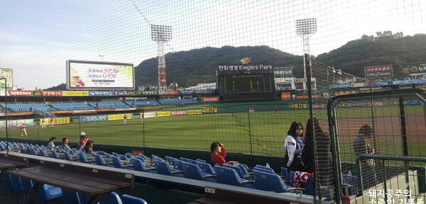 Hanwha Life Insurance Eagles Park — photo 1
