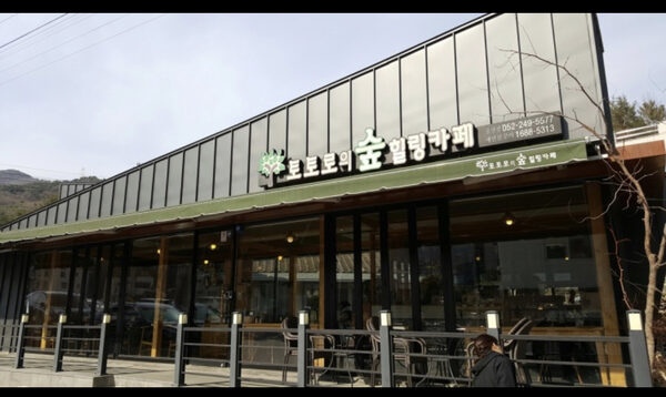 Totoro Forest Healing Cafe Ulsan — photo 1