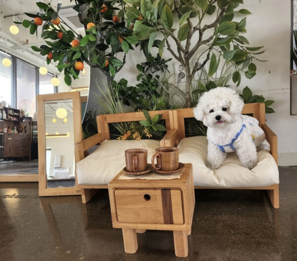 Cafe Pet Dogs — photo 1