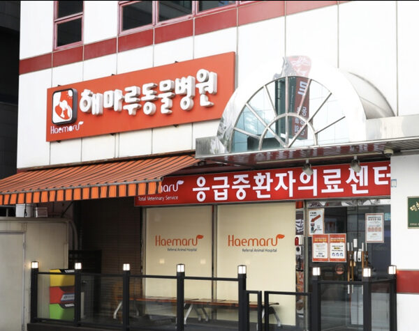 Haemaru Animal Hospital — photo 1
