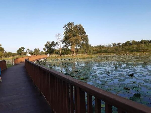 Sopung Park And Camping — photo 3