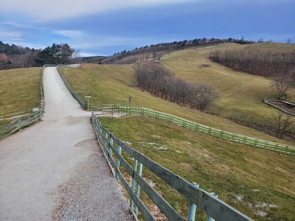 Daegwallyeong Sheep Ranch  — photo 1