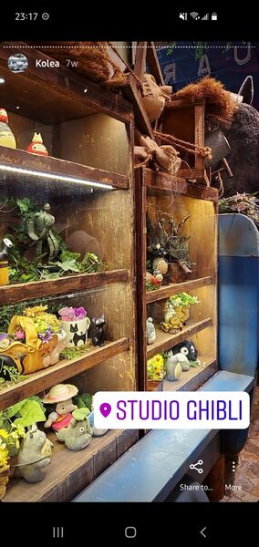 Studio Ghibli Acorn Forest — photo 1
