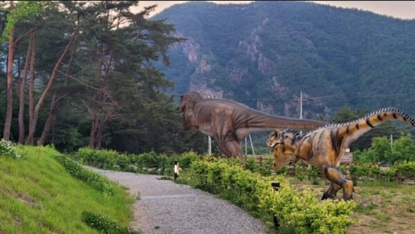 Sinseongni Dinosaur Footprints — photo 1