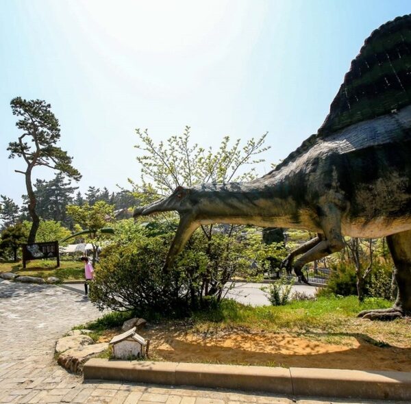 Anmyeondo Jurassic Museum  — photo 1