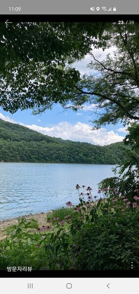 Nami Island Gapyeong — photo 1