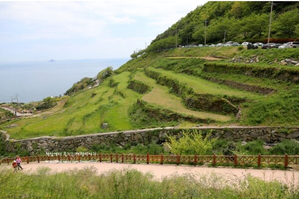 Gacheon Village Terraced Rice  — photo 1
