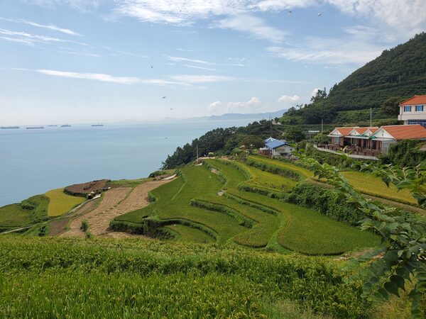 Daraengi Village — photo 1