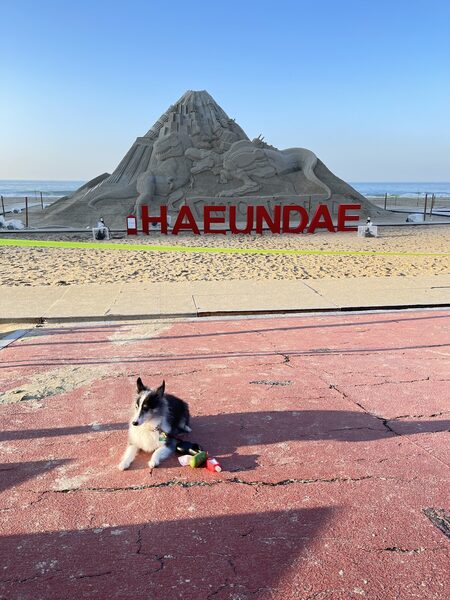 Haeundae Beach — photo 1