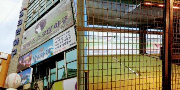 Ace Baseball Zone — photo 1