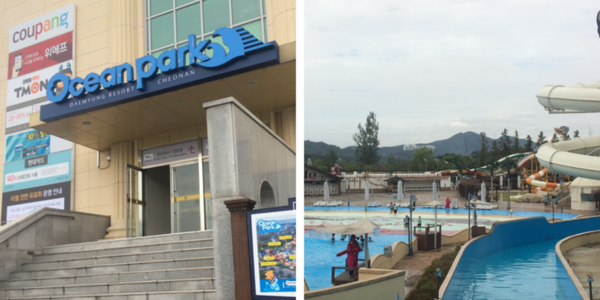 Ocean Park Resort — photo 2
