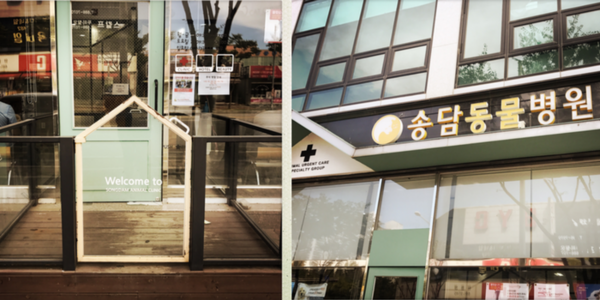 Songdam Animal Hospital — photo 1