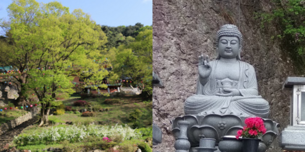 Seongbulsa Temple — photo 1