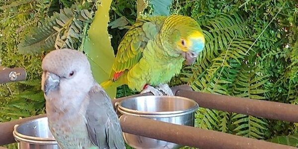 Bird Sori Cafe — photo 1