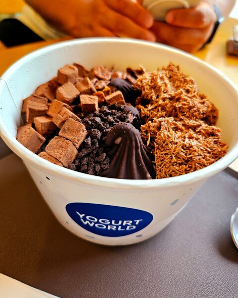 Yogurt World — photo 1
