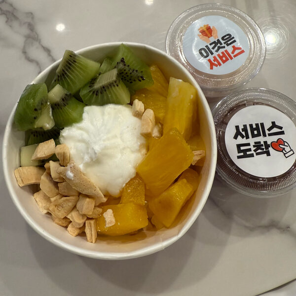 Dallongdor Yogurt Ice Cream — photo 1