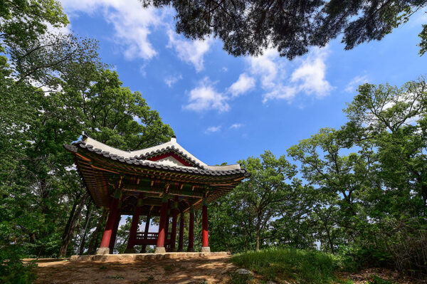 Doksanseong Forest Park — photo 1