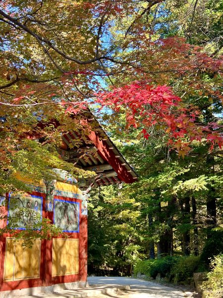 Woljeongsa Temple — photo 1